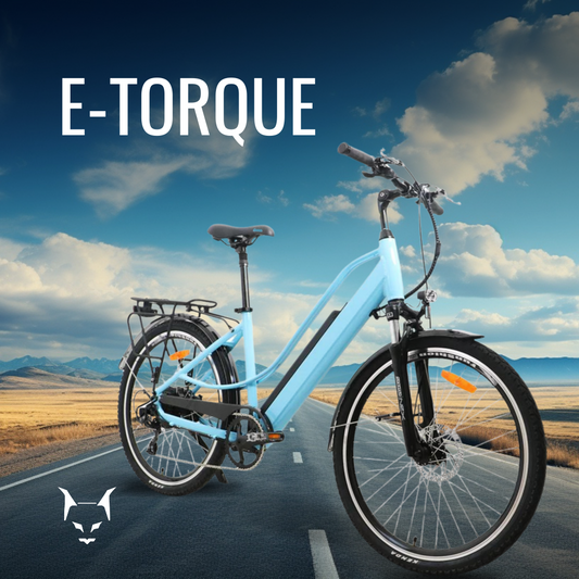 elusive-our-brands-eunorau e-torque-capture that elusive feeling