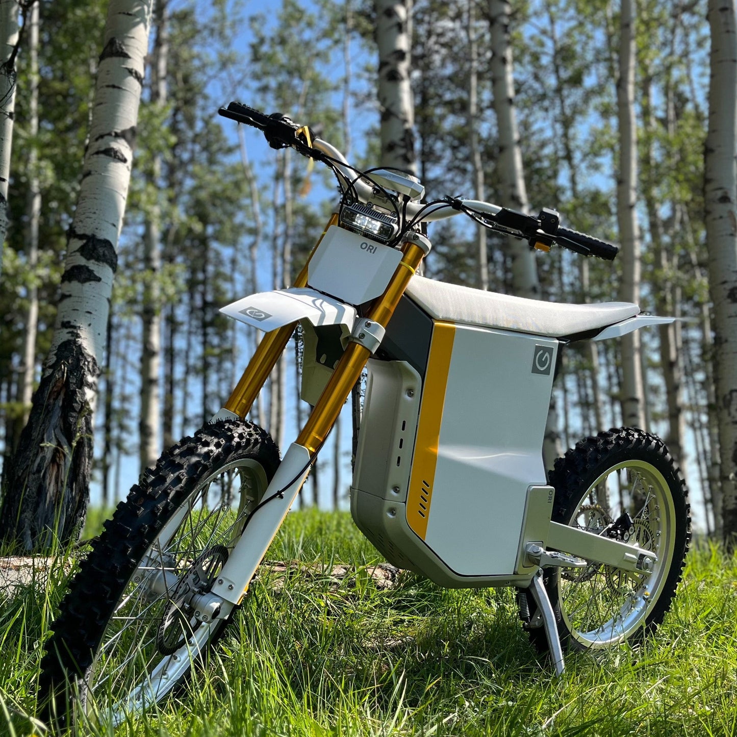 White-official-elusive-ecycles-our-brands-gowow-ori e-bike