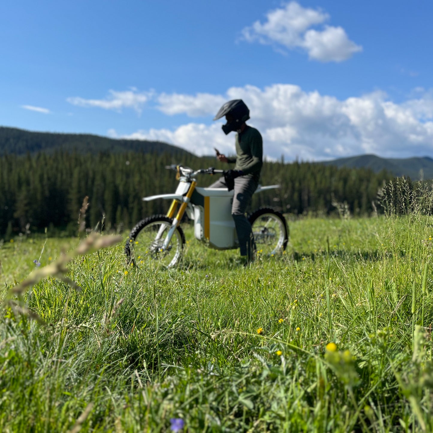 White-official-elusive-ecycles-our-brands-gowow-ori e-bike-trekbikes