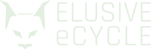 Elusive Ecycles